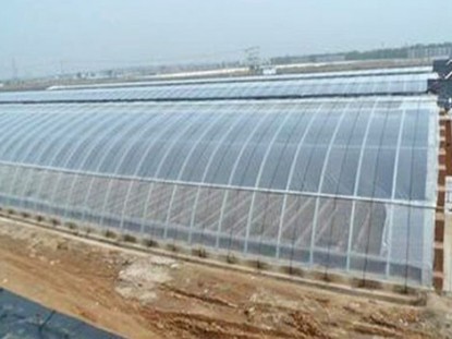 鍍鋅鋁日光溫室