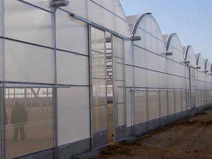 連體陽光板溫室