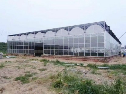 智能連棟薄膜溫室