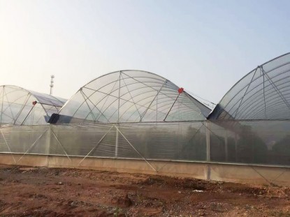智能連棟薄膜溫室