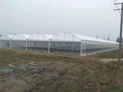 智能連棟薄膜溫室