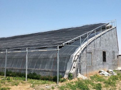 鍍鋅鋁日光溫室