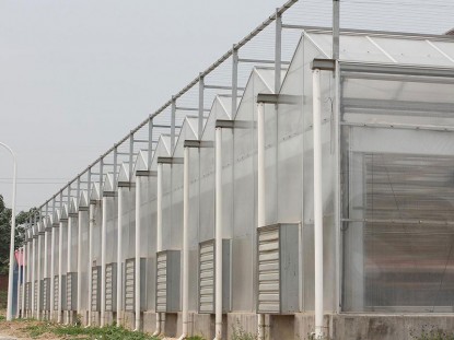 連體陽光板溫室