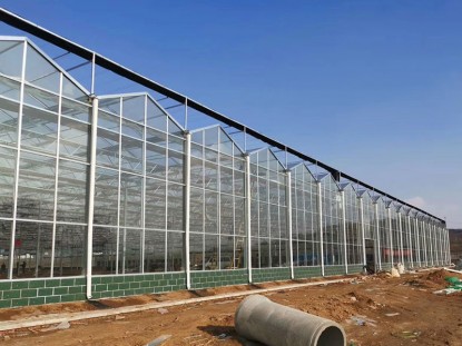 連棟玻璃溫室