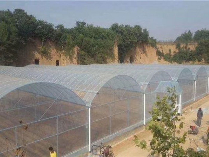 智能連棟薄膜溫室