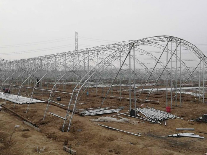 鍍鋅鋁日光溫室