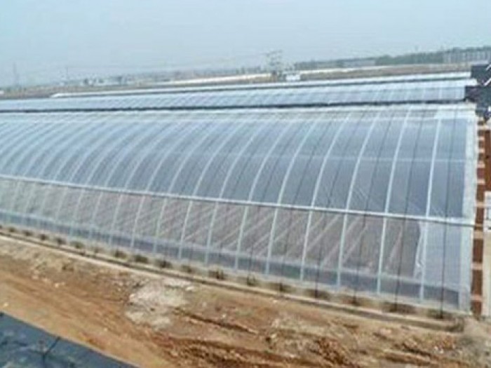 鍍鋅鋁日光溫室