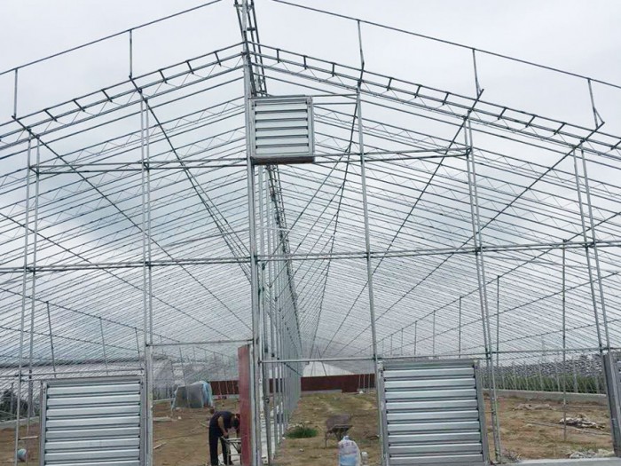 鍍鋅鋁日光溫室