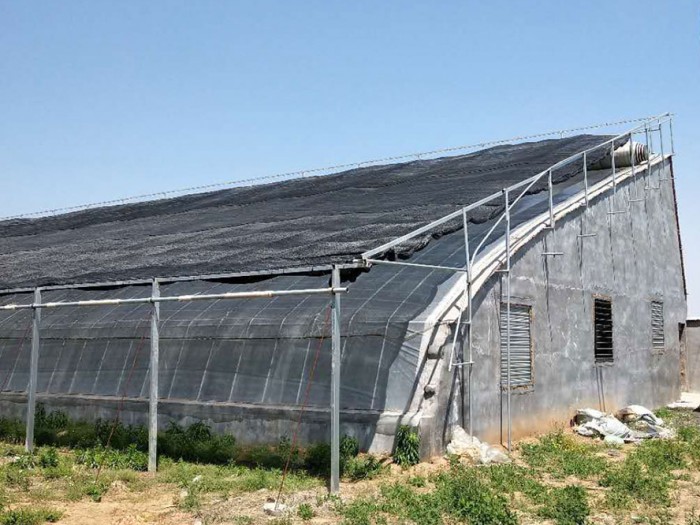 鍍鋅鋁日光溫室