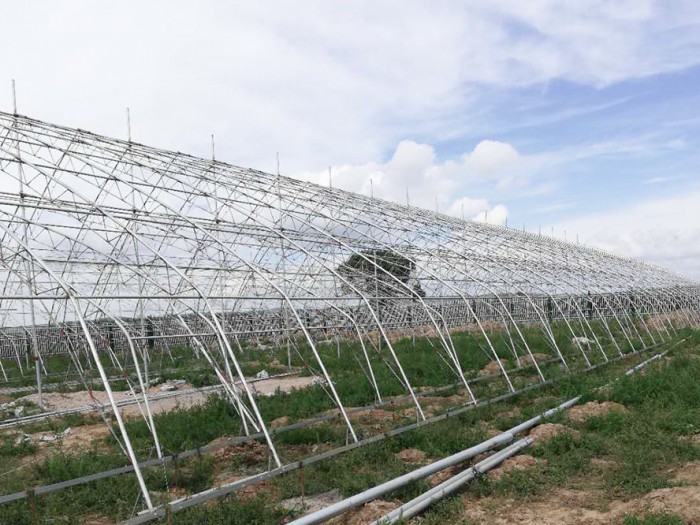 鍍鋅鋁日光溫室