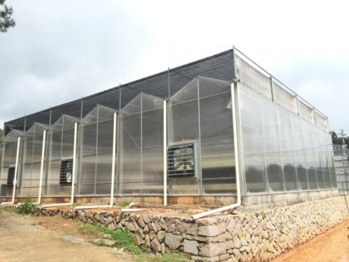 紋絡(luò)陽(yáng)光板溫室