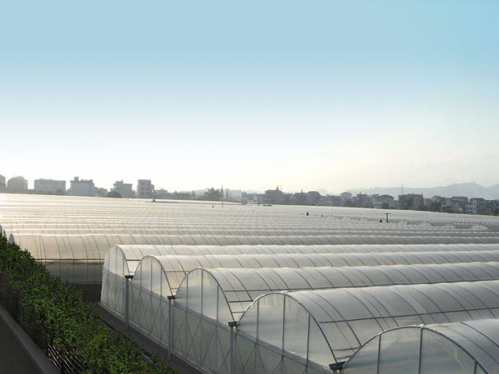 智能連棟薄膜溫室