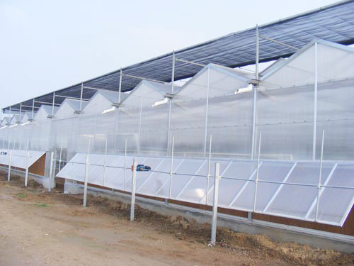 工程案例-青州市澤源農(nóng)業(yè)科技有限公司