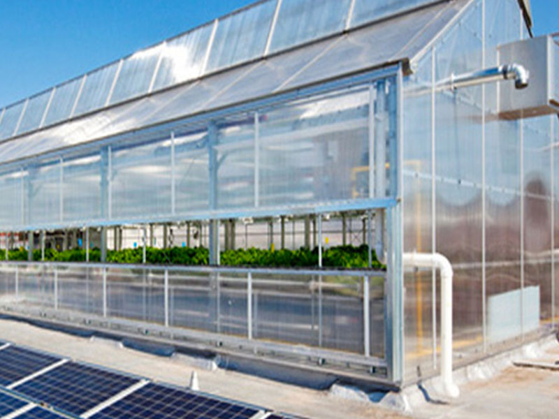 青州市澤源農業科技有限公司